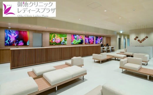 [御池クリニック レディースプラザ]宿泊ドック受診チケット|京都 人間ドック 受診 検査[ 宿泊人間ドック 一泊夕食付 人気 おすすめ 検査 診察 お取り寄せ 通販 送料無料 ふるさと納税 ]