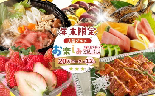 【年末限定】 12回 定期便 四万十 人気 グルメ お楽しみ定期便 しまんと ふるさと 20万円 今だけ 年末 限定 肉 いちご うなぎ 牛肉 パン まぐろ マグロ かつお フルーツ 人気グルメ ごちそう 贅沢 豪華 高知 四万十市 R7-616