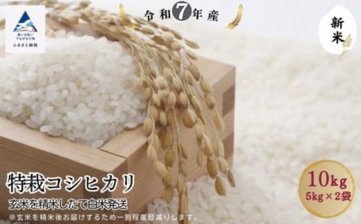 特栽コシヒカリ玄米10㎏（5㎏×2袋）精米したて発送 2279983 - 石川県小松市