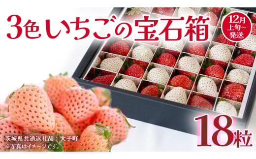 3色いちご の宝石箱18粒[2025年12月上旬発送開始](茨城県共通返礼品:大子町) いちご 苺 果物 フルーツ 果実