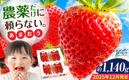 【2025年12月より発送】『自然環境農法』で育てた福岡県産 あまおう 約285g×4パック＜おおきべりー株式会社＞那珂川市 [GZE008] 2294617 - 福岡県那珂川市