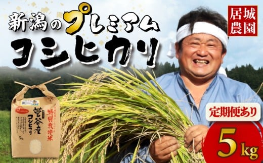 [先行予約] 新潟 プレミアム コシヒカリ 選べる 配送月 5kg 新潟米 令和7年産 特別栽培米 こしひかり 米 プレミアムコシヒカリ 精米 白米 ご飯 おにぎり 弁当 新潟県産 菅谷産 新潟 お米 こめ 農家直送 人気 居城農園 菅谷 新潟県 新発田市 D78_2025P