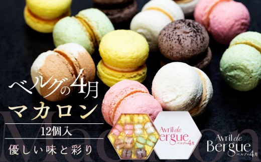マカロン12個入