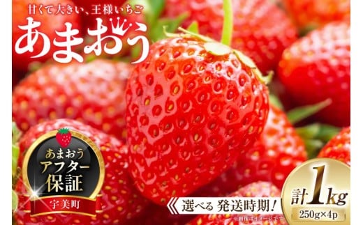 期間限定 いちご あまおう 250g×4パック 選べる発送月 [増田青果 福岡県 宇美町 um40beq650000] 先行予約 苺 イチゴ フルーツ 果物 果実 甘い あまい 季節限定