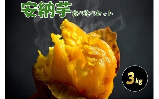 種子島安納黄金・紅いも食べ比べ3kg 2S～Sサイズ（61g～150g） 2312667 - 鹿児島県中種子町