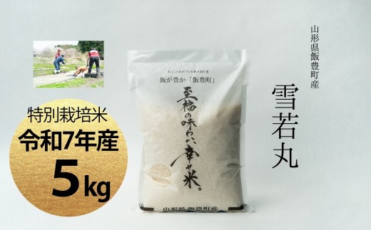 【令和7年産】至福の味わい、　幸せ米。「雪若丸」精米 5kg - 白米 米 ごはん 品種 銘柄 ブランド米 おすすめ 送料無料 山形県 飯豊町 2317007 - 山形県飯豊町