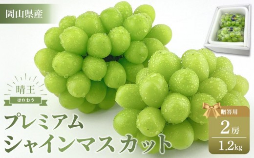 ぶどう 2025年 プレミアム シャイン マスカット 晴王 2房 約1.2kg【赤秀品 岡山県産 船穂産 種無し 皮ごと食べる 旬の美味しさ 9月以降にお届け フレッシュ 贈答用 ハレノフルーツ】