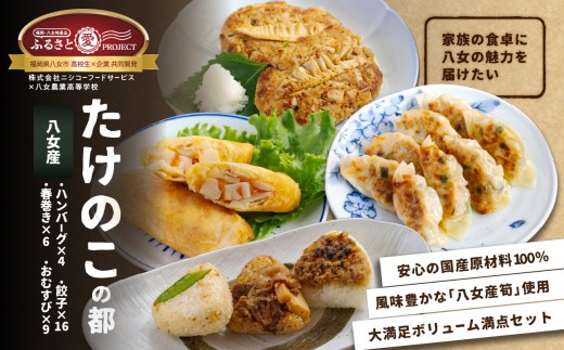 たけのこの都(みやこ)【ふるさと愛プロジェクト】簡単調理 焼くだけ 揚げるだけ レンチン おかず おにぎり たけのこ 筍 ハンバーグ 餃子 春巻き セット 冷凍 個包装 ギフト プレゼント 福岡県 八女市