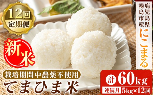 K-198-G 【12回定期便】＜令和7年産新米 先行予約受付中！2025年12月以降順次発送予定＞てまひま米(品種:にこまる)(計60kg：5kg×12回)【末蜜農園】霧島市 お米 精米 白米 米 こめ コメ ご飯 ごはん 定期便 栽培期間中農薬不使用