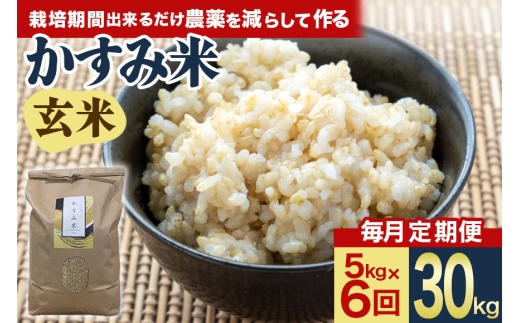【毎月定期便】心と身体が踊りだす栽培期間中出来るだけ農薬を減らして作る「かすみ米」玄米 5kg 全6回 お米 米 国産米 茨城県 潮来市 (A03-055)