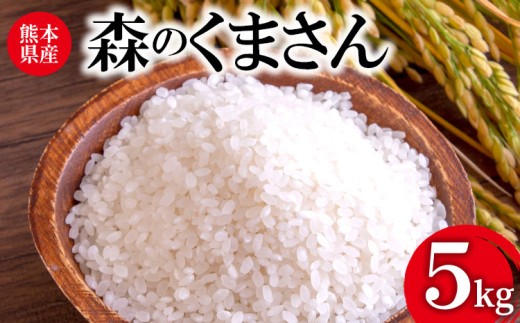 令和7年産 森のくまさん 5kg 株式会社羽根《60日以内に出荷予定(土日祝除く)》