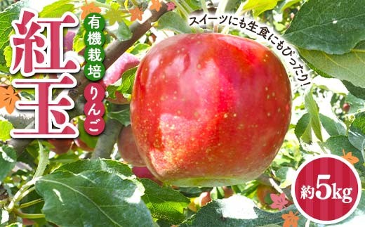 有機栽培 りんご 紅玉 約5kg 【和楽堂りんご養生農苑】 青森りんご リンゴ 林檎 アップル あおもり 青森 青森県 南部町 三戸 南部 果物 くだもの フルーツ オーガニック F21U-594