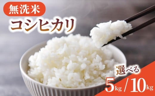 無洗米 米 コシヒカリ 選べる 5kg 10kg 令和7年産 新米 精米 白米 2025 7年産 お米 ご飯 無洗 むせんまい こめ コメ kome ごはん ライス こしひかり 家庭用 備蓄 防災 お弁当 産地直送 送料無料 国産 千葉県産 ふるさと納税 千葉 千葉県 旭市 BANJYO farm bnj