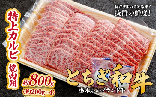 とちぎ和牛の特上カルビ 焼肉用 800g（200g×4）【栃木県共通返礼品】 |  牛肉 肉 お肉 カルビ 特上 バラ肉 焼肉 産地直送 国産 国産牛 交雑 赤身 霜降り 希少 旨味 旨み 熟成 急速冷凍 テクニカン テクニカン社 スキンパック 真空パック 真空包装 コトラミートカルチャ 栃木県 茂木町 2337277 - 栃木県茂木町