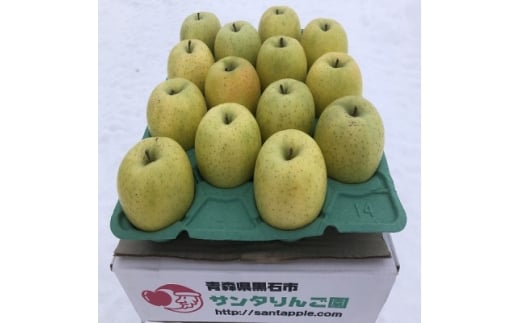 農家直送　青森県産　王林　家庭用　約5kg(18個前後入り)　甘い青りんごの定番【1598177】