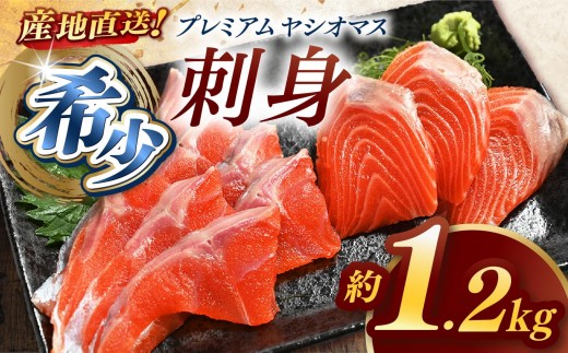 産地直送栃木県のブランド魚「プレミアムヤシオマス」の刺身 1,200g (200g×6パック)   [ 冷凍便 ] | 魚 ます 養殖 産地直送 栃木県 2198681 - 栃木県矢板市