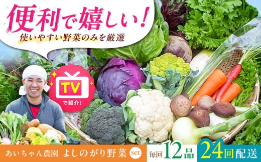 【12品 / 24回定期便】農薬に頼らない！カラダにやさしい「よしのがり野菜」セット（レギュラー）【吉野ヶ里あいちゃん農園】 [FAA007]