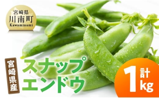 宮崎県産　スナップエンドウ1kg 【 宮崎県産 川南町産 スナップエンドウ 】