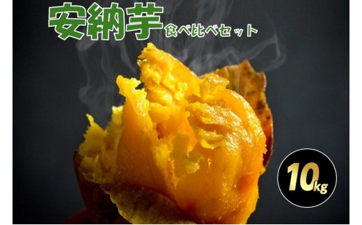 種子島安納黄金・紅いも食べ比べ10kg 2S～Sサイズ（61g～150g） 2312669 - 鹿児島県中種子町