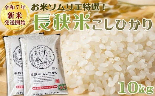 《令和７年産 新米》【米屋新蔵】お米ソムリエ特選『長狭米コシヒカリ』10kg　[0032-0006] 407726 - 千葉県鴨川市