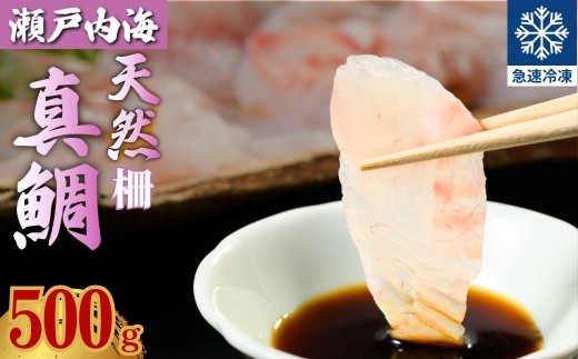 瀬戸内「天然」真鯛 お刺身用 500g 柵でお届け（急速冷凍）便利な小分け 100gパック 【鯛 マダイ タイ 鯛めし 鯛茶漬け ブロック 海鮮 魚介 即日加工 鮮度抜群 個包装 おせち 正月 正月料理】 2312144 - 広島県竹原市