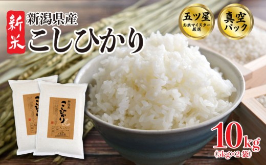 こしひかり 10kg 令和7年産 5kg×2袋 真空パック 新米 五つ星お米マイスター 新潟県産 新発田産 コシヒカリ 備蓄 非常 防災 長期保存 アウトドア ごはん ご飯 お米 米 こめ 新潟県 新発田市 三糧 sanryo003_01