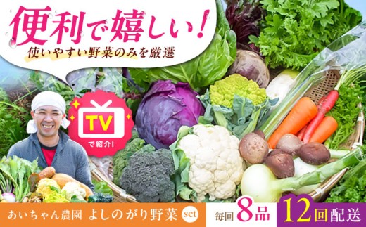 【8品 / 12回定期便】農薬に頼らない！カラダにやさしい「よしのがり野菜」セット（ショート）【吉野ヶ里あいちゃん農園】 [FAA002]