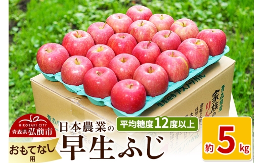 りんご 平均糖度12度以上! 早生ふじ 約5kg おもてなし用[先行受付] 青森 果物 フルーツ 林檎 リンゴ くだもの 予約