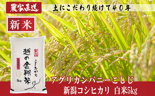 J8-7N051【越の金翔米】新潟県長岡産コシヒカリ5kg（特別栽培米） 270973 - 新潟県長岡市