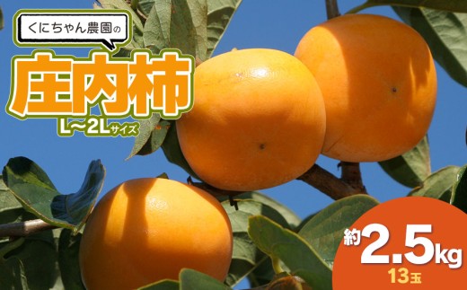 【令和7年産】くにちゃん農園の庄内柿　約2.5㎏（L～2Lサイズ 13玉）　[K-722] 2305460 - 山形県鶴岡市
