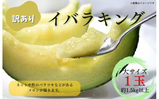 【訳あり】イバラキングメロン（大）1玉（約1.5kg以上）