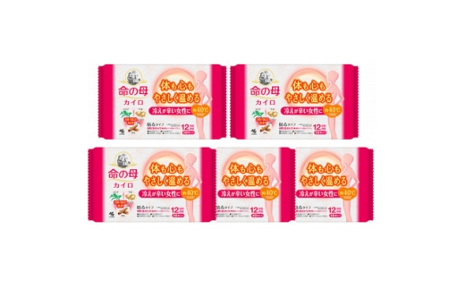 ＜桐灰小林製薬＞命の母カイロ(貼るタイプ)10個入×5個【1561662】 1950305 - 群馬県藤岡市