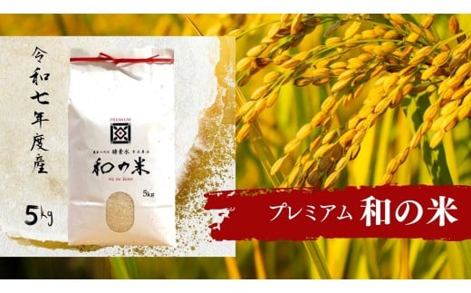 《 令和7年産 》和の米 「酵素米」 プレミアム 精米5kg / 米 こめ コメ お米 おこめ コシヒカリ こしひかり 和の米 酵素米 プレミアム 特別栽培認証 新米 白米 精米 ごはん ご飯 令和7年産 5kg 茨城県 利根町 送料無料 253302 - 茨城県利根町