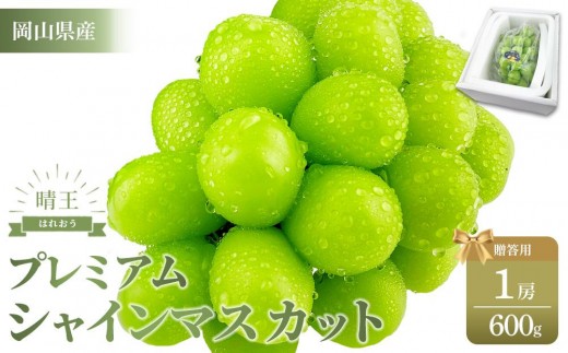 ぶどう 2025年 プレミアム シャイン マスカット 晴王 １房 約600g 【赤秀品 岡山県産 船穂産 種無し 皮ごと食べる 9月以降にお届け フレッシュ 贈答用 ハレノフルーツ】