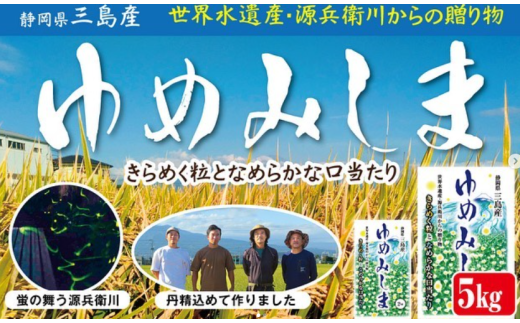 <先行予約> 令和7年産 新米 ゆめみしま 精米 5kg 三島米 新銘柄米『 ゆめみしま 』 粒形が特徴的 湧水育ち こめ 米 ごはん 白米 お米 精米 炊き込みご飯  グラウンドワーク アグリライフ三島 静岡県 三島市 2312072 - 静岡県三島市