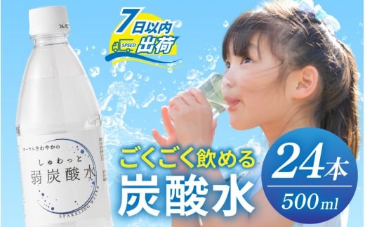 しゅわっと弱炭酸水 [A-030026] / 炭酸 炭酸水 水 微炭酸 24本 1ケース 500ml ペットボトル 飲料水 みず 北陸 飲料 無糖 軟水 ダイエット 福井県 福井市 ウォーター ローヤルさわやか 2282551 - 福井県福井市