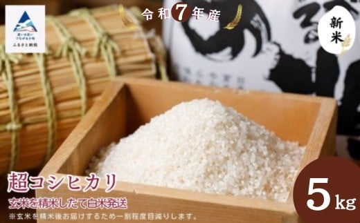 超コシヒカリ 特別栽培米 5kg 玄米を精米したて発送 白米 農薬化学肥料無使用 お米 こめ コメ 令和7年産 新米 こしひかり【のむら農産】