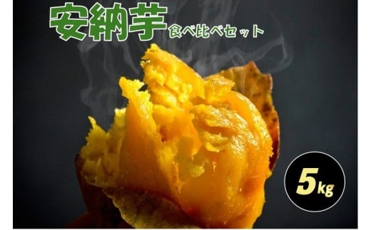 種子島安納黄金・紅いも食べ比べ5kg 2S～Sサイズ（61g～150g） 2312668 - 鹿児島県中種子町
