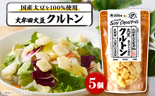 大牟田大豆クルトン25g×5個【1613867】 2145889 - 福岡県大牟田市