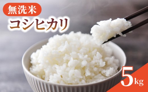 無洗米 米 コシヒカリ 5kg 令和7年産 新米 精米 白米 2025 7年産 お米 ご飯 無洗 むせんまい こめ コメ kome おこめ ごはん ライス こしひかり 家庭用 備蓄 防災 お弁当 産地直送 送料無料 国産 千葉県産 ふるさと納税 千葉 千葉県 旭市 BANJYO farm bnj001 2307945 - 千葉県旭市
