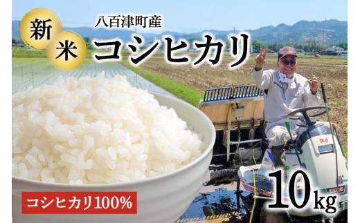 令和7年度米 新米![3営業日以内に発送]地元でも美味しいと評判!八百津町小川さんのコシヒカリ10Kg すぐ 発送 すぐに お届け 農家 さん 直送(476)