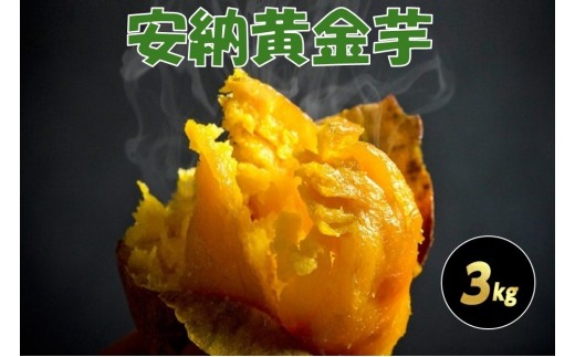 種子島産安納黄金いも3kg 2S～Sサイズ（61g～150g） 2312673 - 鹿児島県中種子町