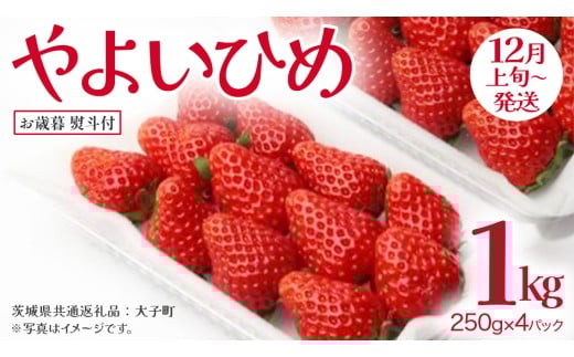 【 お歳暮 熨斗付き 】 やよいひめ 250g（8～12粒）×4パック【2025年12月上旬発送開始】(茨城県共通返礼品：大子町) いちご 苺 果物 フルーツ 果実 贈答用 ギフト 贈り物
