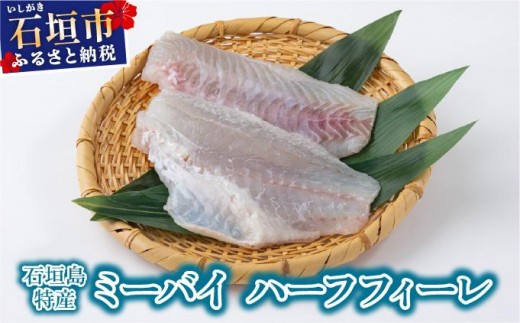 石垣島特産ミーバイ（ヤイトハタ）ハーフフィーレ KS-15 2307094 - 沖縄県石垣市