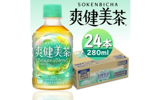 爽健美茶280mlPET×24本【1551258】 1509992 - 富山県砺波市
