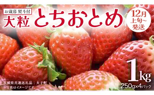 【 お歳暮 熨斗付き 】 とちおとめ 250g（8～12粒）×4パック【2025年12月上旬発送開始】(茨城県共通返礼品：大子町) いちご 苺 果物 フルーツ 果実 贈答用 ギフト 贈り物