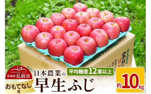 りんご 平均糖度12度以上！ 早生ふじ 約10kg おもてなし用【先行受付】 青森 果物 フルーツ 林檎 リンゴ くだもの 予約