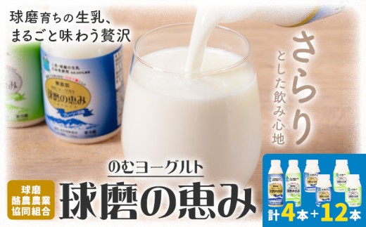 球磨の恵み のむヨーグルト 450g×4本 150g×12本 球磨酪農農業協同組合《30日以内に出荷予定(土日祝除く)》熊本県 球磨郡 山江村 球磨の恵みのむヨーグルト 加糖 砂糖不使用 熊本県産 生乳 使用