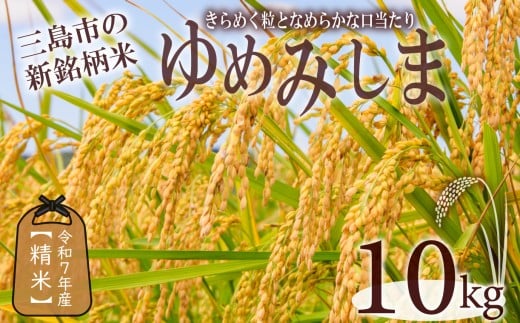 <先行予約> 令和7年産 新米 ゆめみしま 精米 10kg 三島米 新銘柄米『 ゆめみしま 』 粒形が特徴的 湧水育ち こめ 米 ごはん 白米 お米 精米 炊き込みご飯  グラウンドワーク アグリライフ三島 静岡県 三島市 2312691 - 静岡県三島市