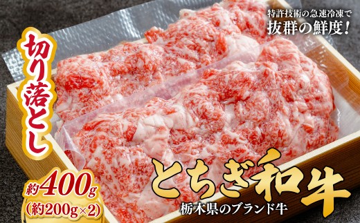 とちぎ和牛の切り落とし 400g（200g×2）【栃木県共通返礼品】 | 牛肉 肉 お肉 産地直送 国産 国産牛 牛丼 交雑 赤身 霜降り 希少 旨味 旨み 熟成 急速冷凍 テクニカン テクニカン社 スキンパック 真空パック 真空包装 コトラミートカルチャ 栃木県 茂木町 2337274 - 栃木県茂木町
